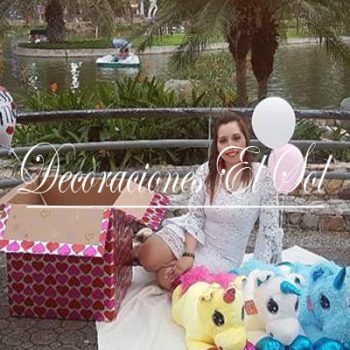 decoraciones_el_sol_unicornio_de_pie