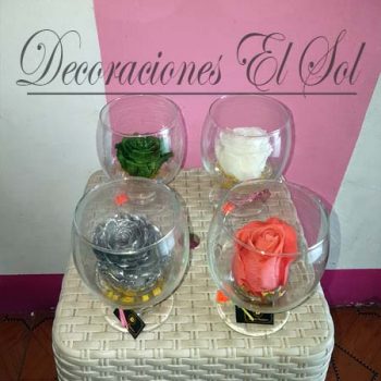 Variedad de Flores Preservadas